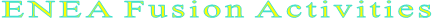 ENEA Fusion Activities